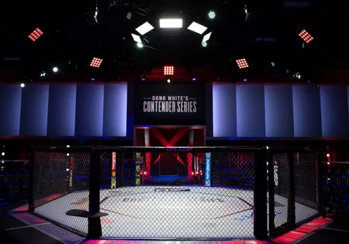 UFC ao vivo: como assistir as lutas online e na TV